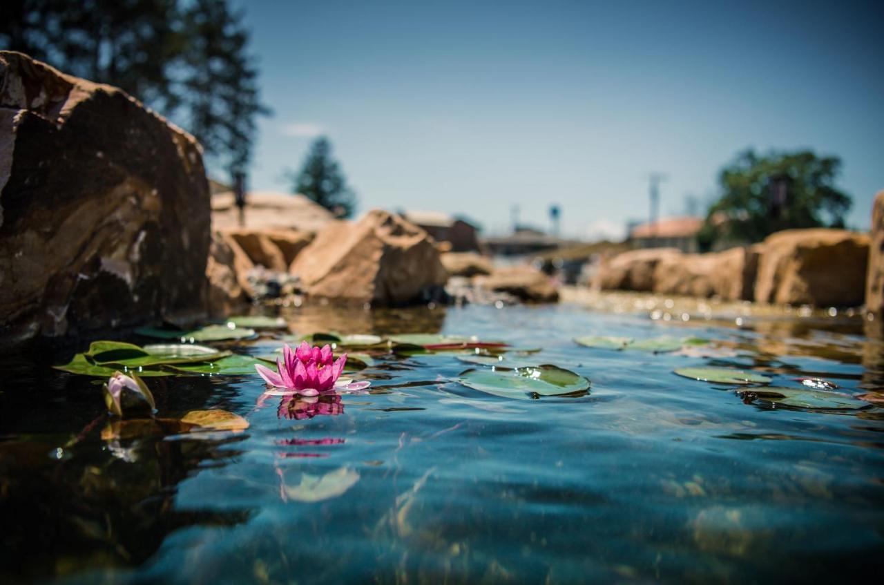 Natura Treescape Resort Wisconsin Dells Εξωτερικό φωτογραφία